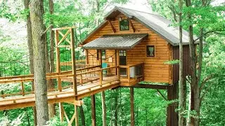 Inside Grandma's Enchanted Treehouse: A 25-Year Sanctuary