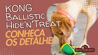 KONG Ballistic Hide'n'Treat - Estimule fisicamente e mentalmente seu c&atilde;o