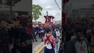#2025 #志度 #祭り #本宮 #寶組 #魁組