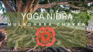 Root Chakra Yoga Nidra | NSDR
