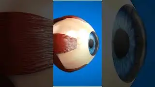 You Blink 20,000 TIMES a Day: Eyes' Secret Superpower! 👀💧 (Mind-Blowing Fact) #Shorts