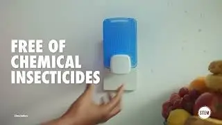 Stem Light Trap 