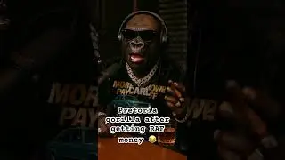 Pretoria gorilla after getting RAF money  #100menvsgorilla #gorilla #aivideo