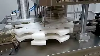 Automatic Pistachio Nut Weighing Filling Canning Labeling Capping Packing Machine
