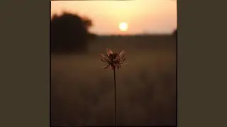 Maybe Someday