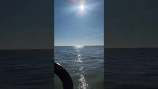 Beautiful Day On Lake Erie For A Cruise! #fishing #lakeerie #walleyefishing #walleye #fish #ohio