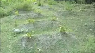 2900 Bodies Found in Kashmir Mass Graves