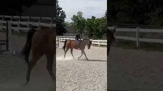 Okay the frame bareback is eating so hard ngl🤯🤯