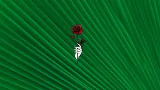 *FREE* Lil Skies Type Beat - 