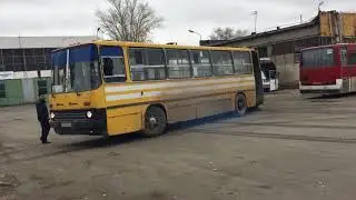 Первые шаги