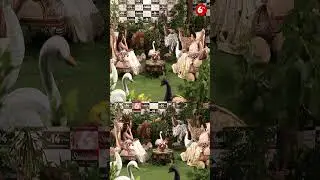Shorts: Samantha About Raji character  | Samantha  | Suma Kanakala | #ShaakuntalamMovie | 6TV