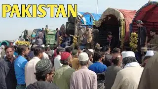 Exploring Pakistan&rsquo;s Busiest Market 🇵🇰 &ndash; Sabzi Mandi Islamabad 4K