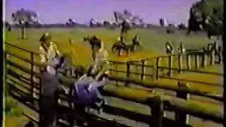 John Denver in Australia (1978) - Part 3 - Late Nite Radio & Druthers