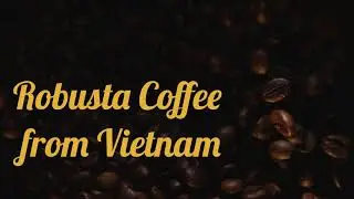Robusta coffee from Vietnam | Helena., JSC