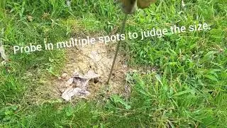 Bottle probing tip.