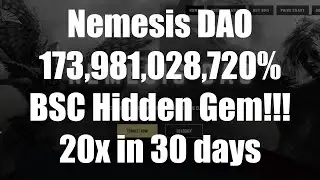 Nemesis DAO - Binance Smart Chain Hidden Gem