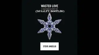 Steve Angello - Wasted Love ft. Dougy from The Temper Trap (DJ Salty Bootleg)