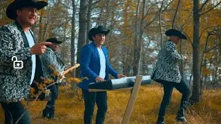Los principes del amor - Los palmeteados - Video ofcial 2024