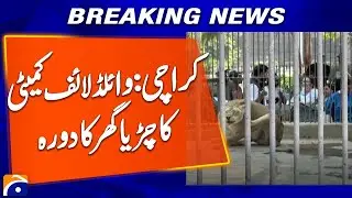 Wildlife Committee Visits Karachi Zoo | Animal Welfare & Facility Review | Geo News