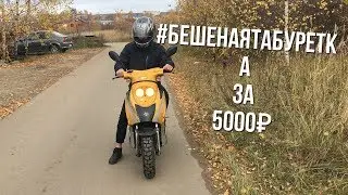 #Бешенаятабуретка за 5000₽  (обзор скутера IRBIS Z50R)
