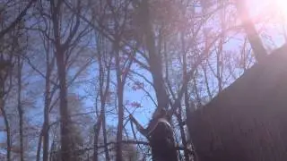 Shooting Down Mistletoe