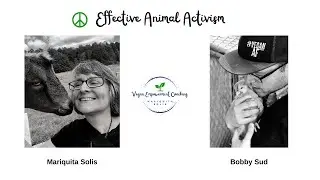 Bobby Sud, Effective Animal Activism