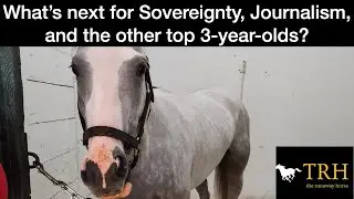 What's next for Sovereignty, Journalism, Baeza, Rodriguez, Sandman, Gosger, East Avenue?