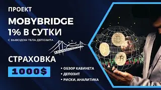 MOBYBRIDGE обзор &mdash; международный мост в криптовалюте. Пассивный доход 1% в сутки