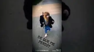 baila monito