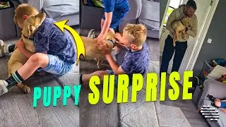 Two Boys Get Surprised With the Puppy They&rsquo;ve Always Wanted