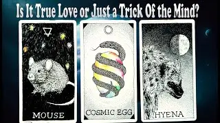 IS IT TRUE LOVE OR JUST A TRICK OF THE MIND? 💖🧠 Timeless Pick-a-Card Tarot Reading 🔮✨