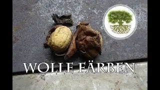 Wolle färben mit Nussschalen