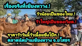 ราคาวัววันนี้ เปิดราคาวัวล่าสุดวันนี้ สำรวจราคาวัวตลาดนัด#เปิดราคาวัวน่าซื้อเลี้ยง#การซื้อ ขายวัวงาม