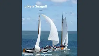 Like a Seagull