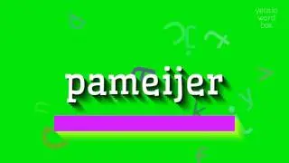 PAMEIJER - HOW TO PRONOUNCE PAMEIJER?
