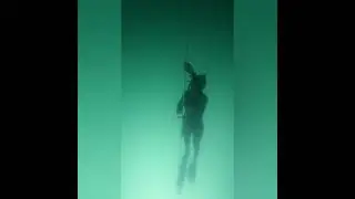 Freediving Instructor Course in 60 seconds!