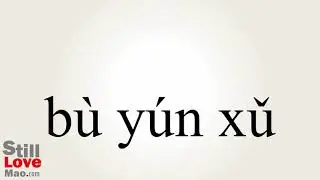 How to Say Disallowing in Chinese