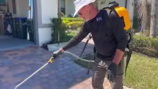 Bring Your Outdoor Spaces Back to Life!