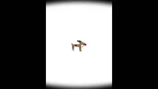 D O  N O T  B L I N K