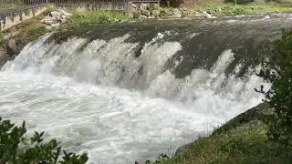 Rio Oja