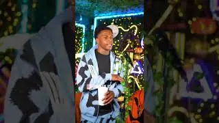 Bamabound Ant - 4L (Live Performance)