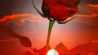 NADİRİLER Topcu Ali (yeni)2