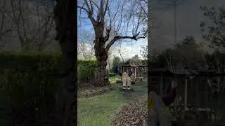 Regulating after connecting with my new surrendering through embodiment and somatic practices cohort