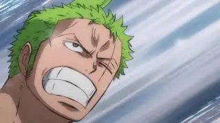 Zoro meets kawamatsu one piece episode 953