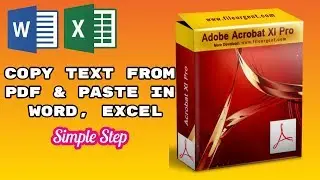 How to make PDF scan file to text recognition for Copy- paste  in Microsoft Office
