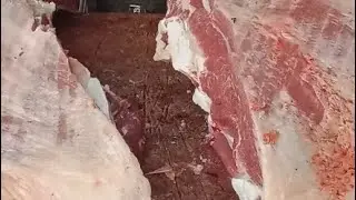 Halal cow meat cutting skills in Bangladesh #beef #meat # cutting #video