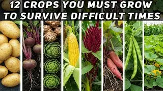 12 Crops You Must Grow to Survive Difficult Times