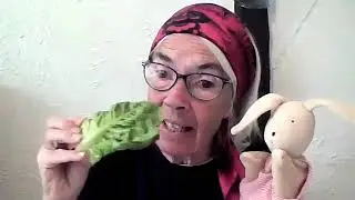 Why do rabbits have long ears?