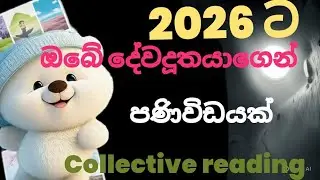Angel reading 2026