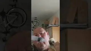 Saving a baby silkie!